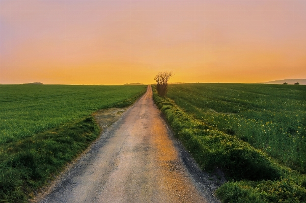 Photo Paysage nature herbe horizon