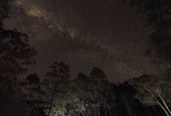 空 夜 接地 星 写真