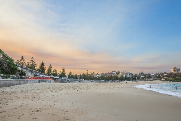 Beach sea coast water Photo