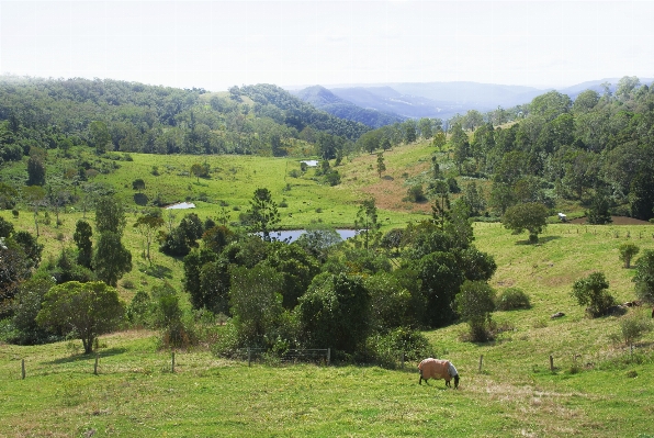 Landscape mountain mist field Photo