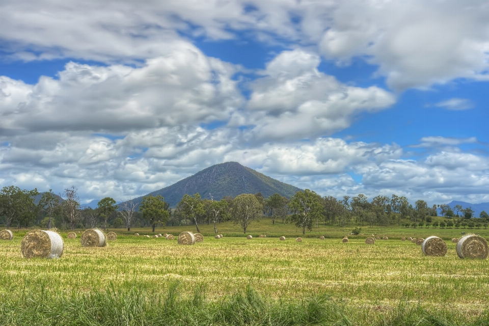 風景 草 山 クラウド