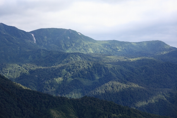 Landscape nature forest wilderness Photo