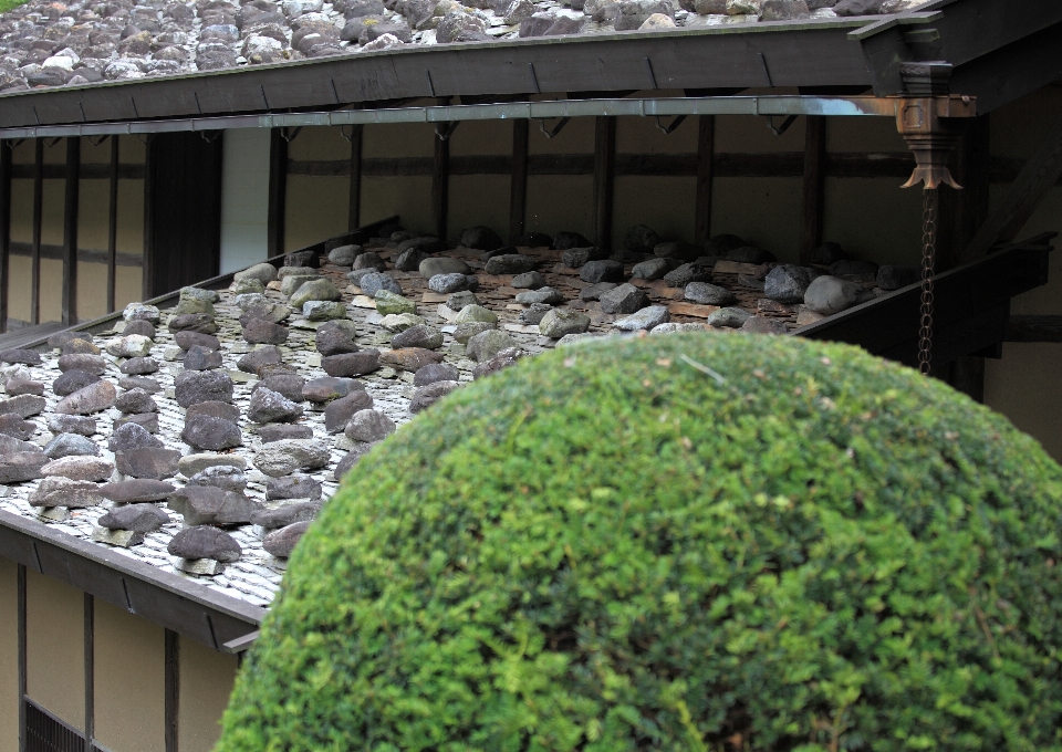 Farm house roof home