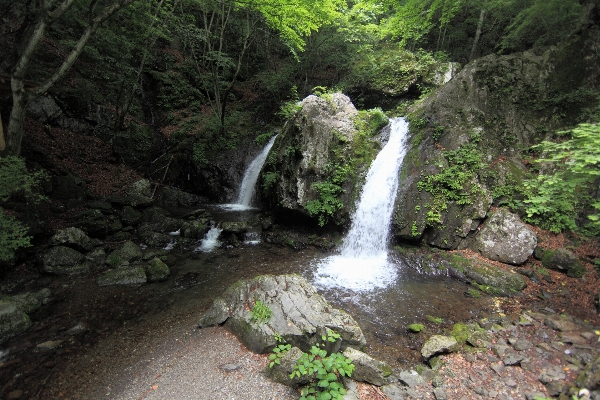 Waterfall river valley stream Photo