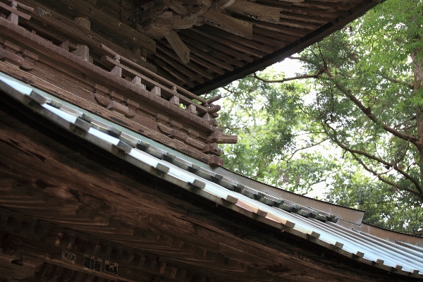 Track bridge roof train Photo