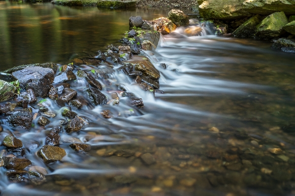 Water nature rock leaf Photo