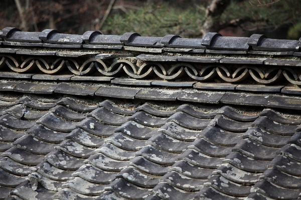 Track roof high vehicle Photo