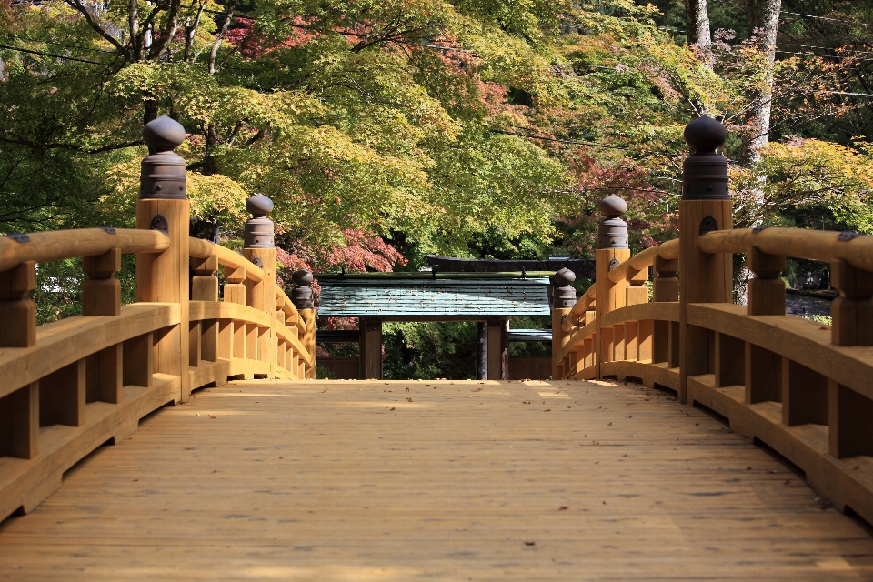 Deck bridge home walkway