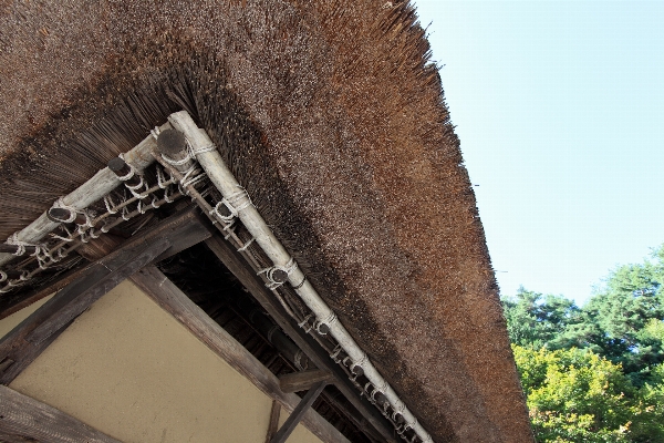 Architecture roof wall monument Photo