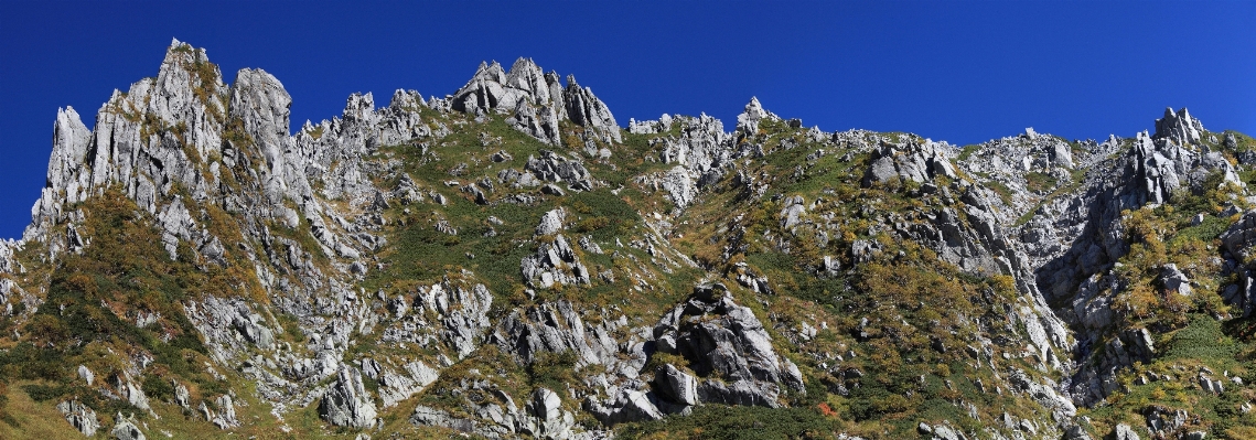 Landscape tree rock wilderness Photo