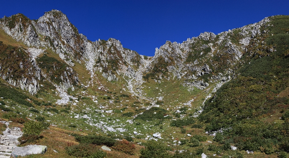 木 荒野
 山 冬