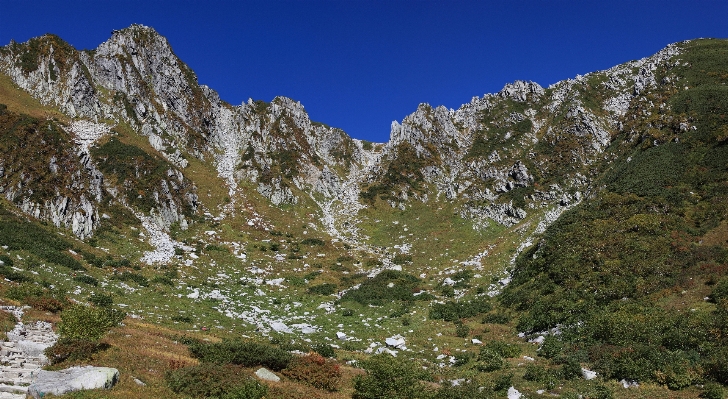 Ağaç el değmemiş doğa
 dağ kış Fotoğraf