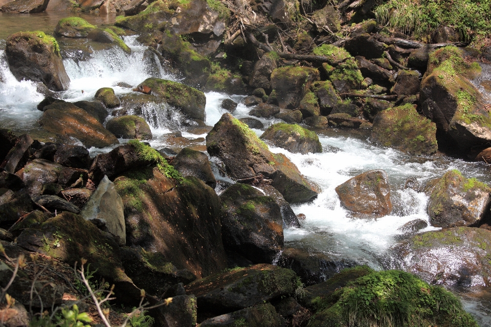 água floresta rock cachoeira