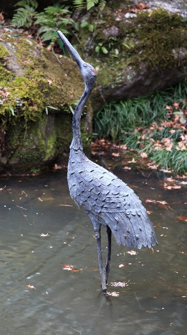 Bird wildlife zoo high