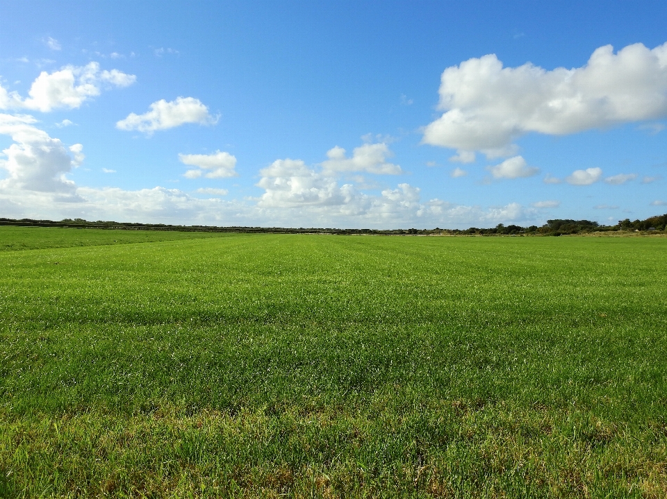 Paisaje naturaleza césped horizonte