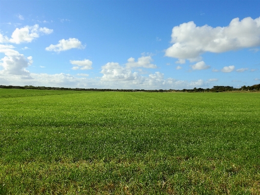 Landscape nature grass horizon Photo