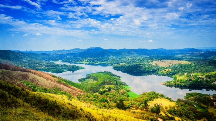 Landscape tree water nature Photo