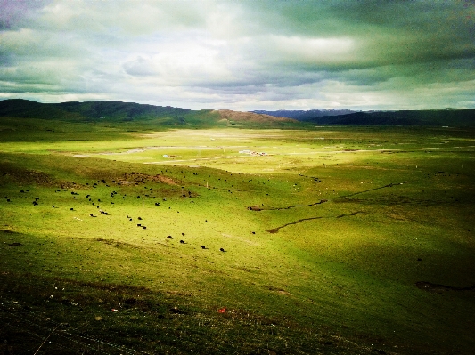 Landscape sea nature grass Photo