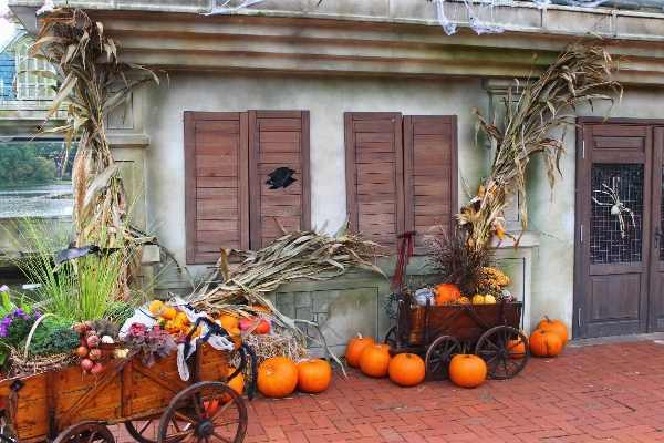 Foto Casa portico
 decorazione autunno