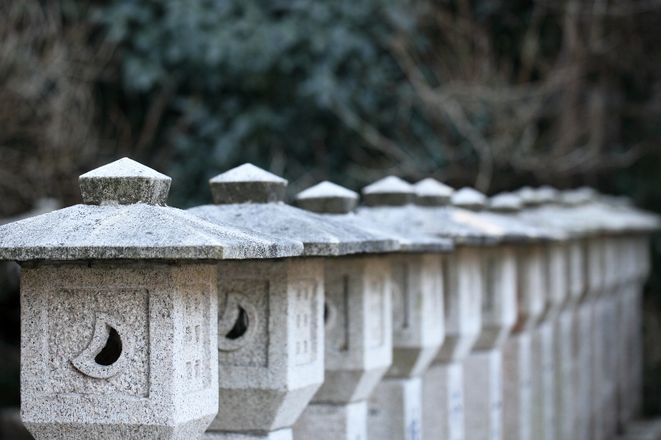 雪 冬 建築 木