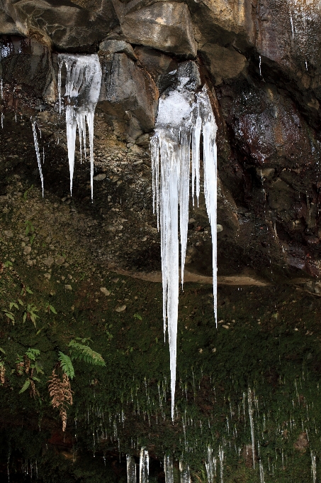 形成 氷 洞窟 高い