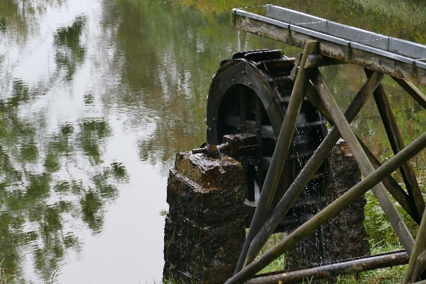 Photo Arbre eau pont lac