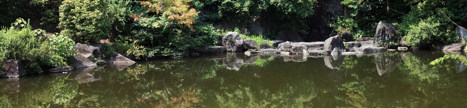 Panorama teich hoch garten