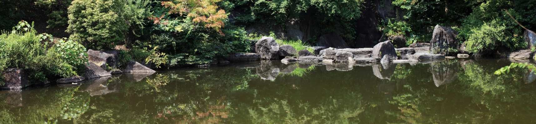 Panorama pond high garden Photo