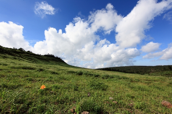 Landschaft natur gras horizont Foto