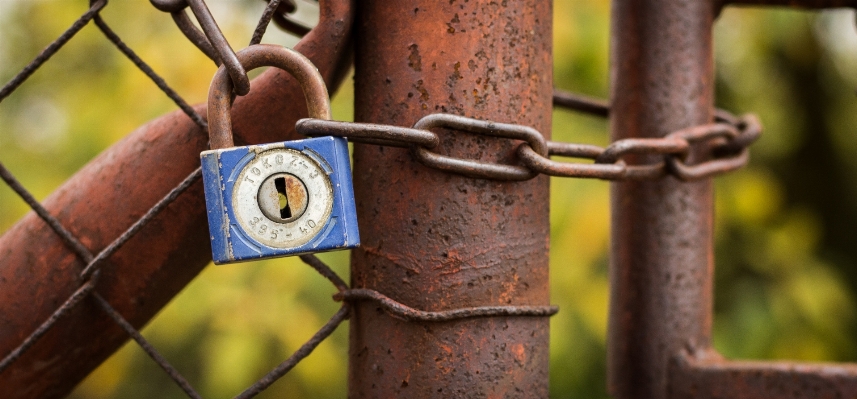 Outdoor branch open fence Photo