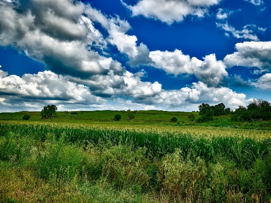 Landschaft natur gras horizont Foto