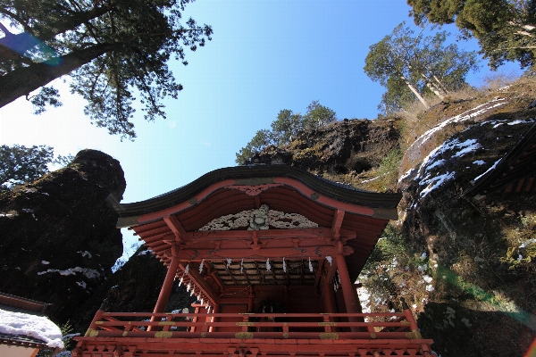 建築 建物 旅行 高い 写真