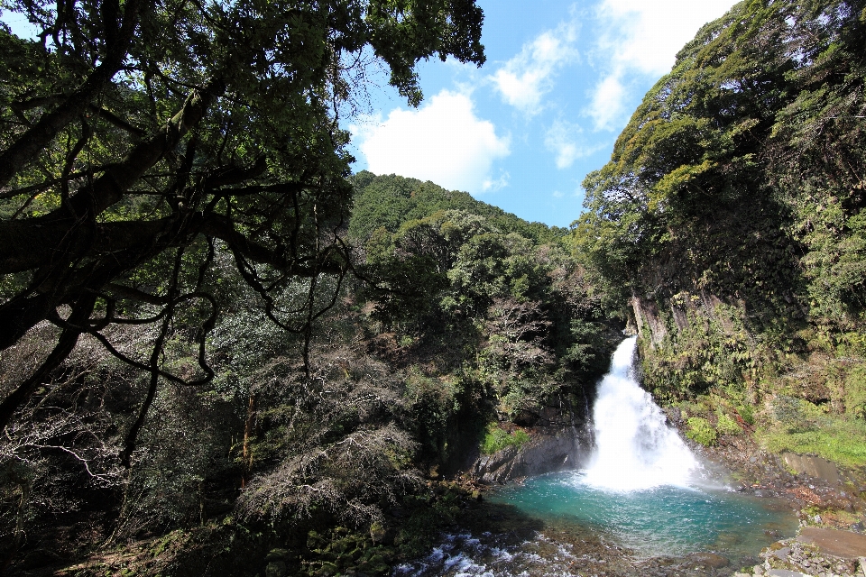 森 滝 荒野
 stream