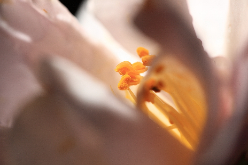 Hand anlage fotografie sonnenlicht