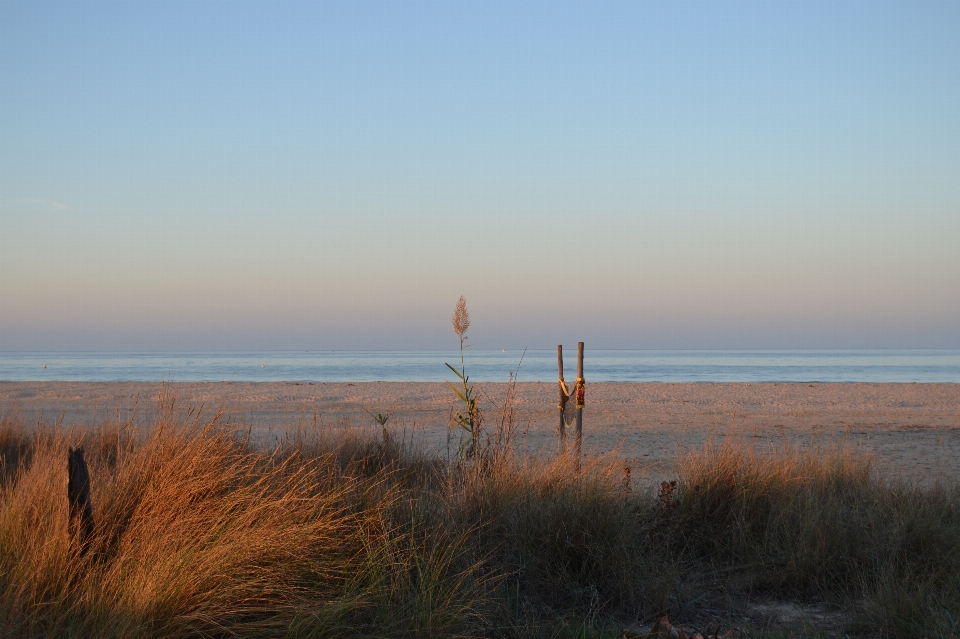 Beach landscape sea coast