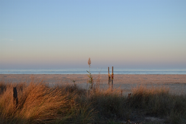 Beach landscape sea coast Photo