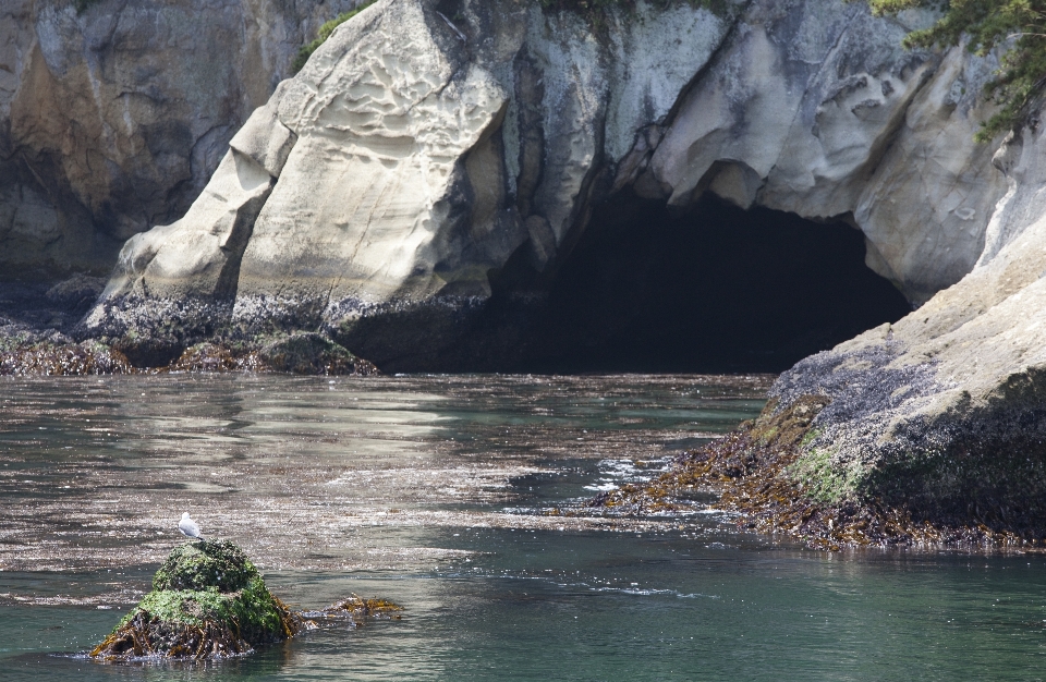 Meer küste wasser rock