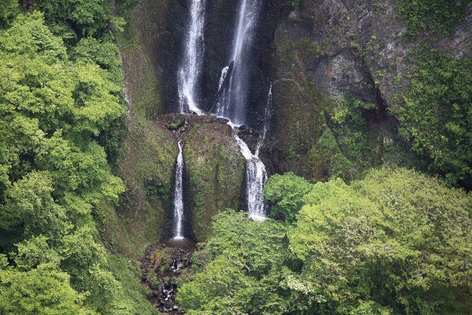 Forest waterfall fall high