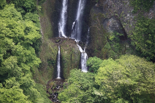 Forest waterfall fall high Photo