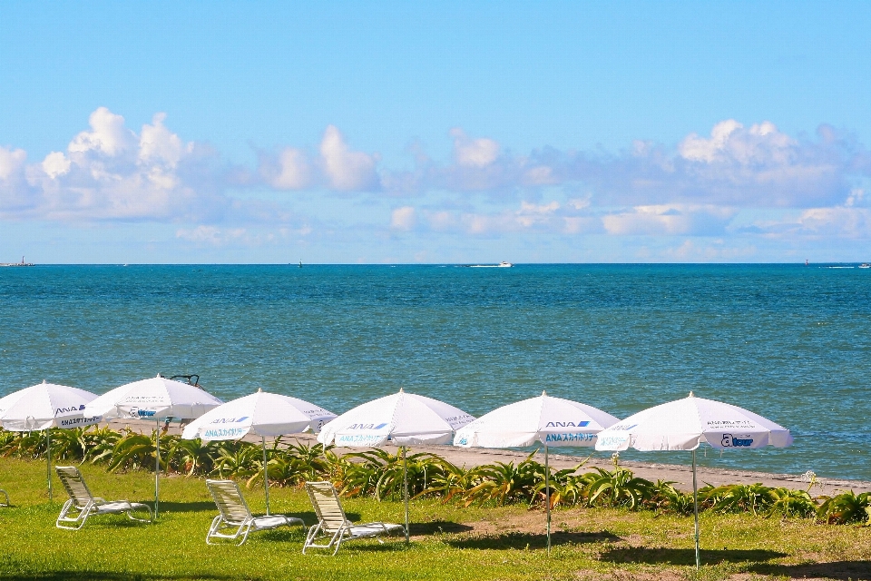 Plaża morze wybrzeże ocean