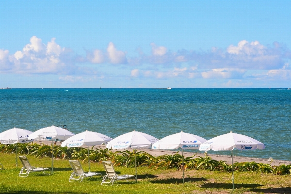 Beach sea coast ocean Photo