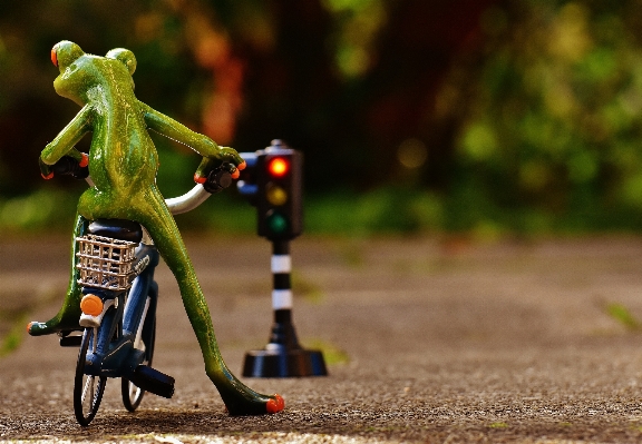 Foto Doce bicicleta animal bonitinho