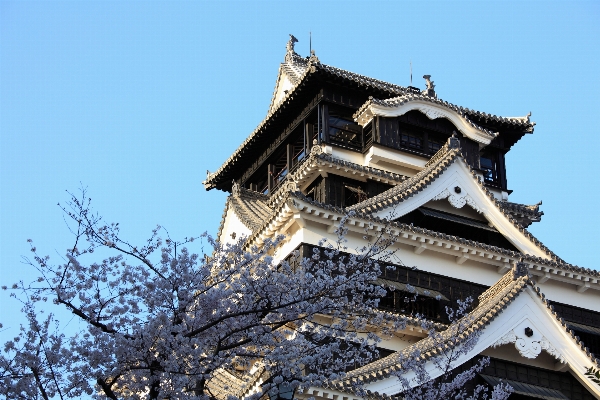 建物 高い タワー 城 写真