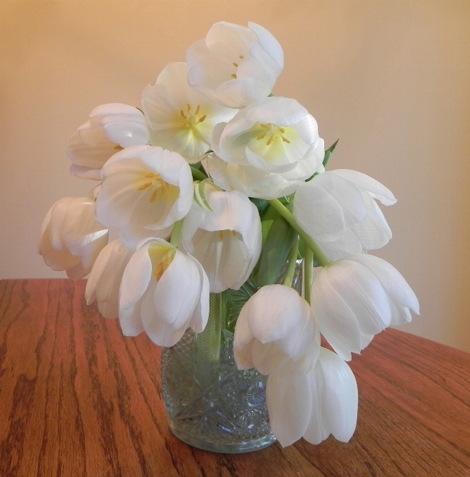 Table blossom plant white