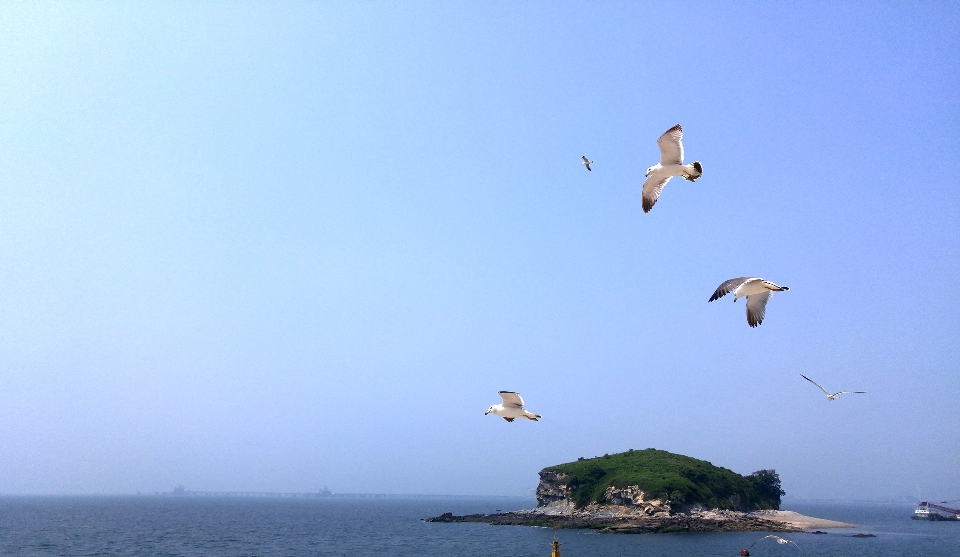 海滩 景观 海 海岸