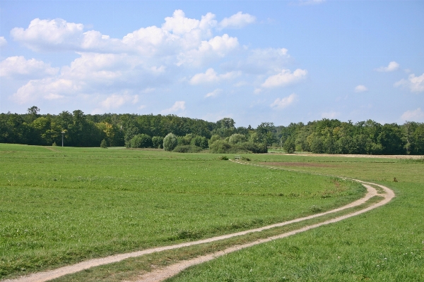 Landscape nature grass sky Photo