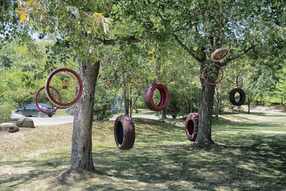 Arbre cour
 espace public
 sculpture