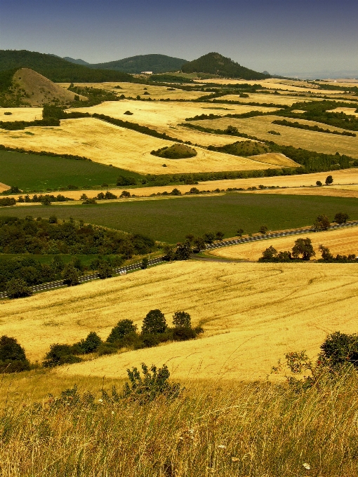 Paysage herbe horizon région sauvage
