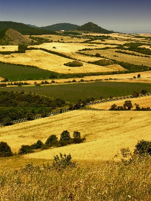 Landscape grass horizon wilderness Photo