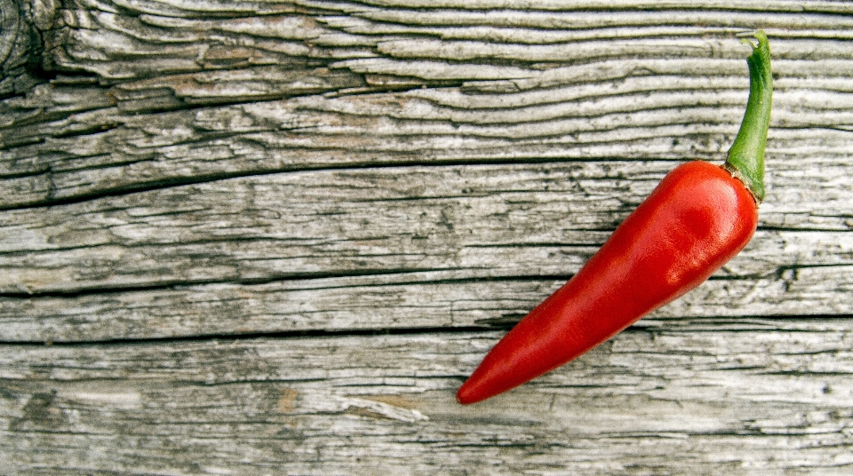 Planta flor alimento chile